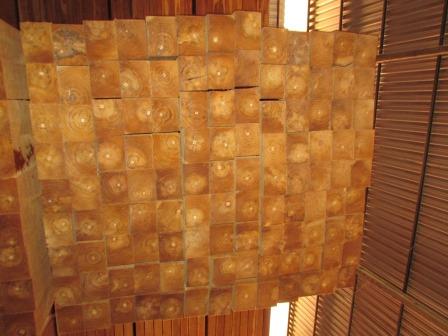 FSC A+�ȼ� ��ľ���� Teak Squares