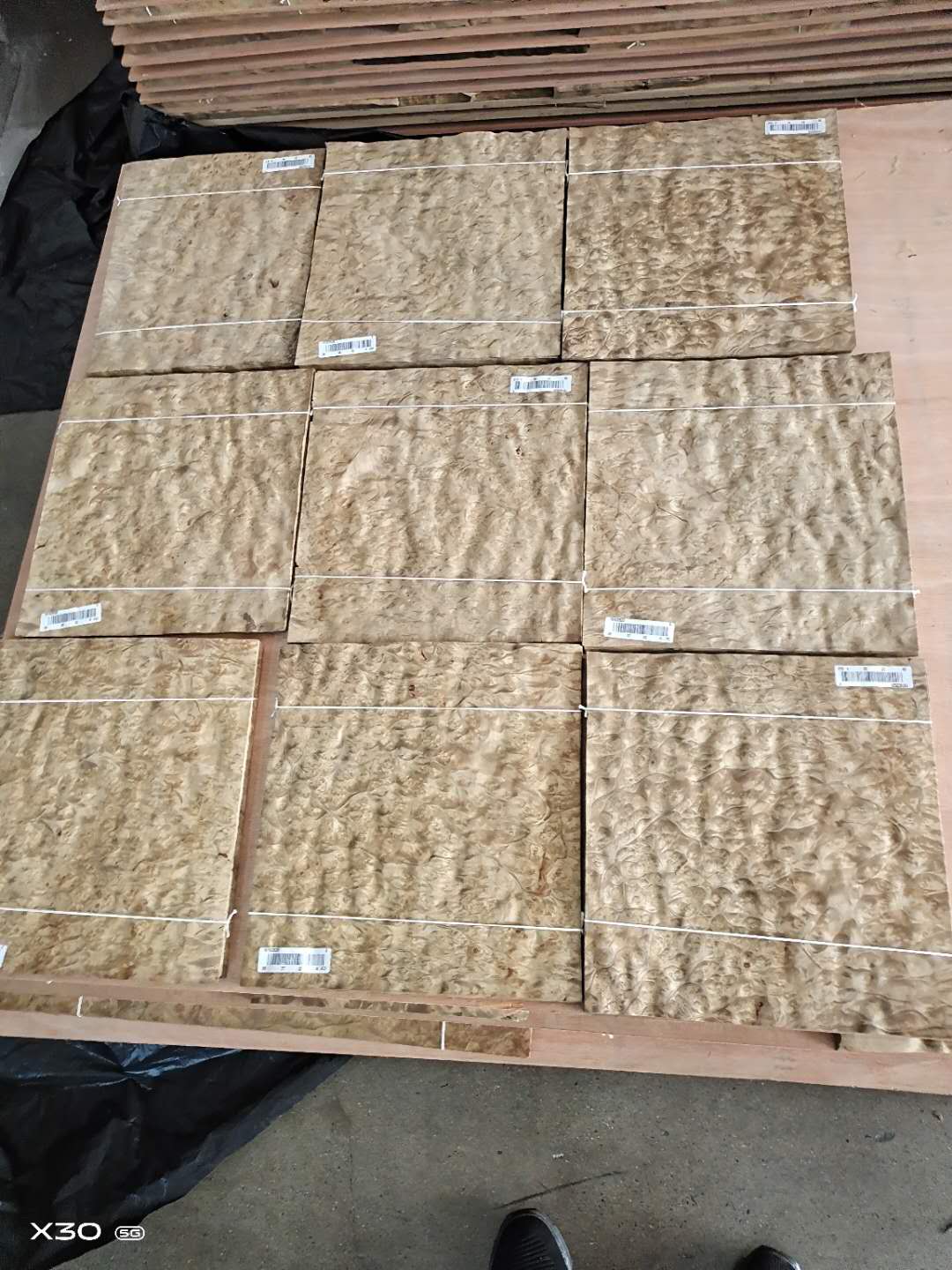 ɽ�����(sh��)���Ԕ��(x��)��B