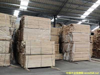 [��] ��ľ25��