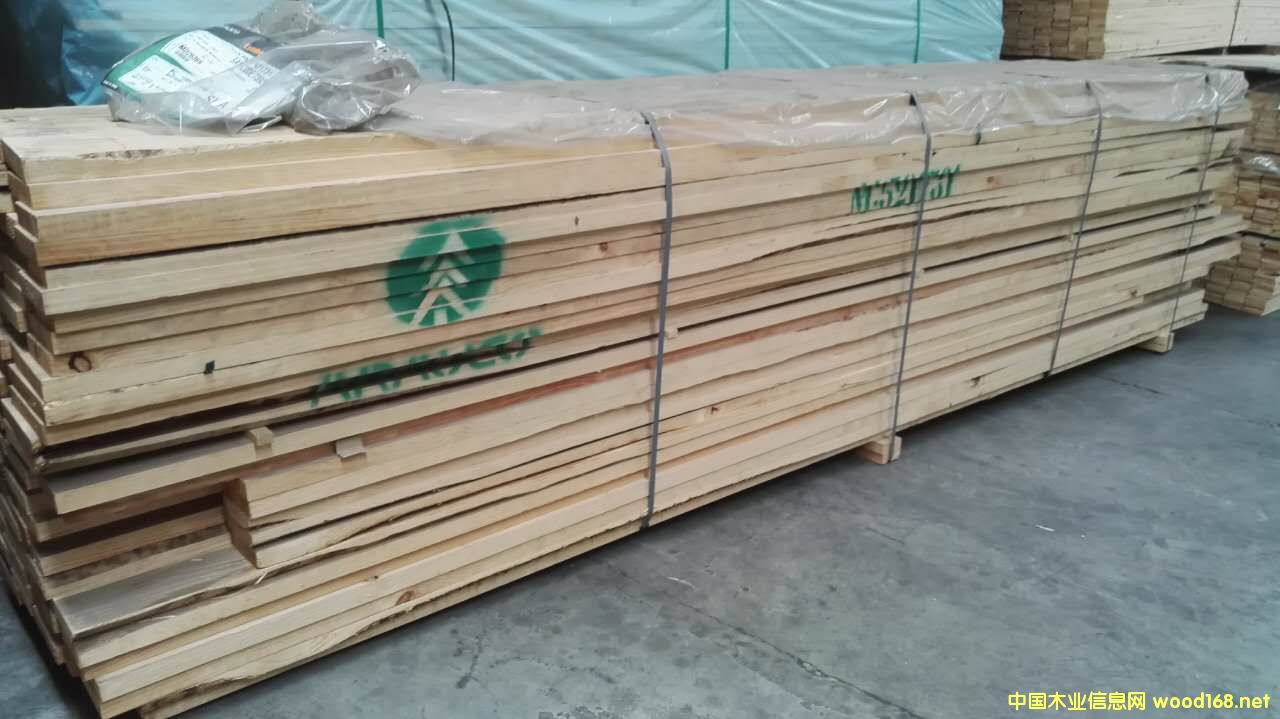 ARAUCO�̵����