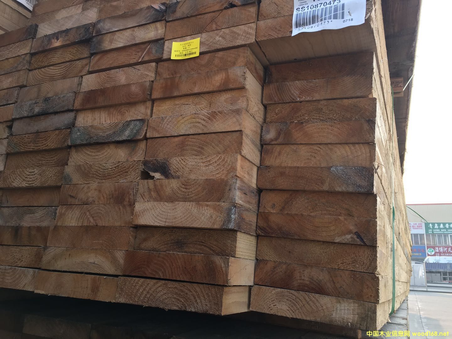 �Fɼ���50*254