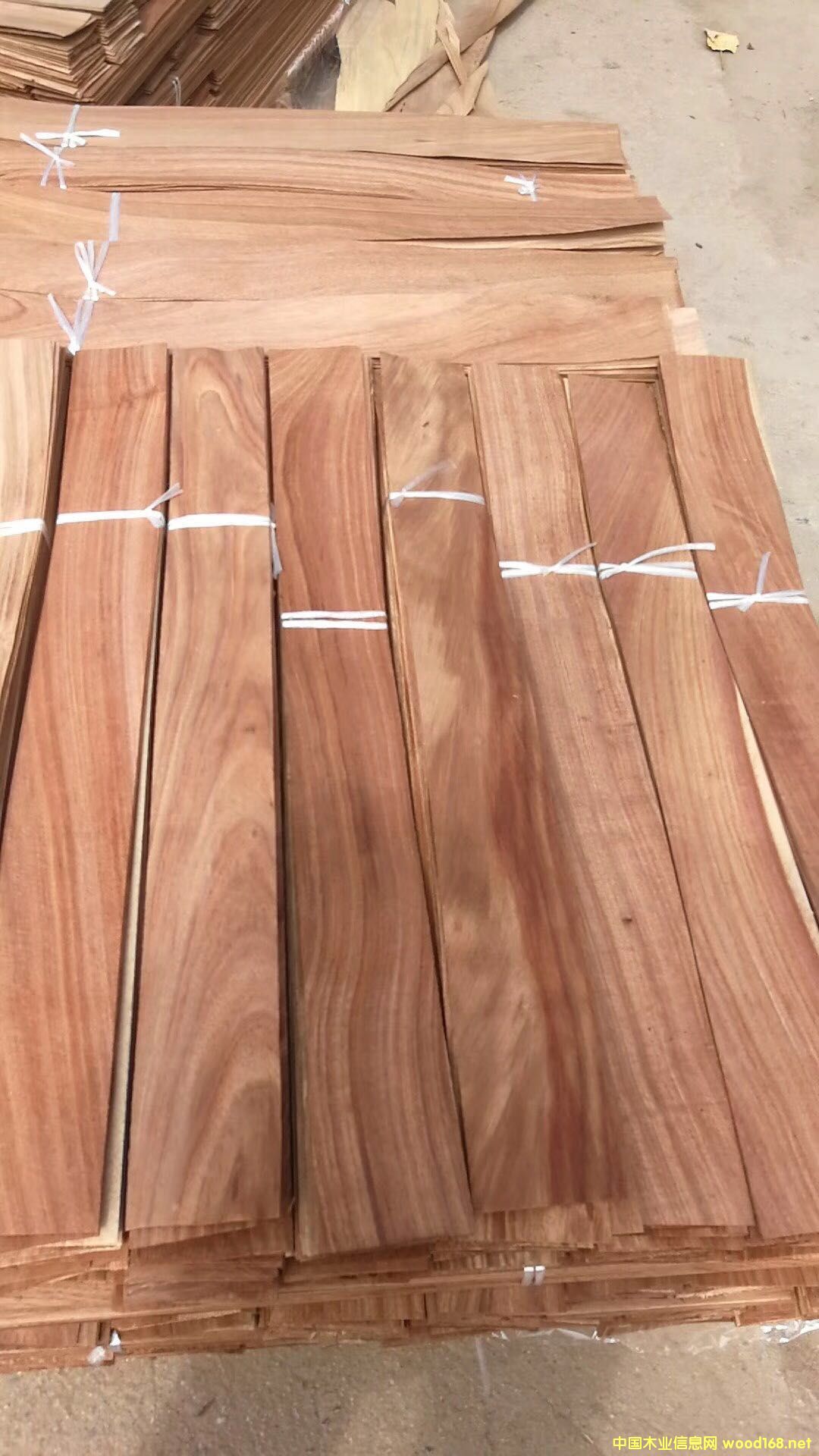 ����ľƤ�ϴ��~����