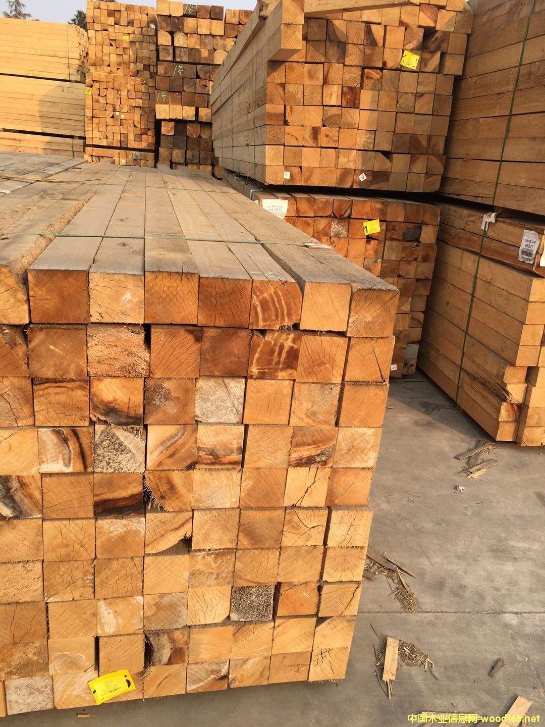 �Fɼ����108*108