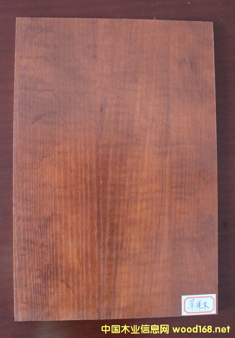 ���B(t��i)��-�O��ľ