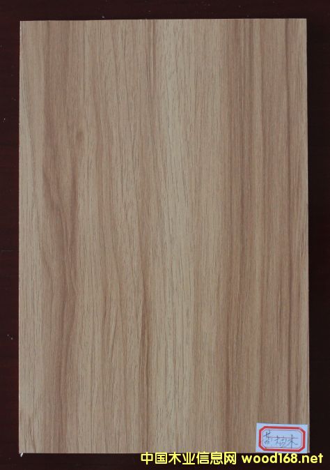 ���B(t��i)��-�S��ľ