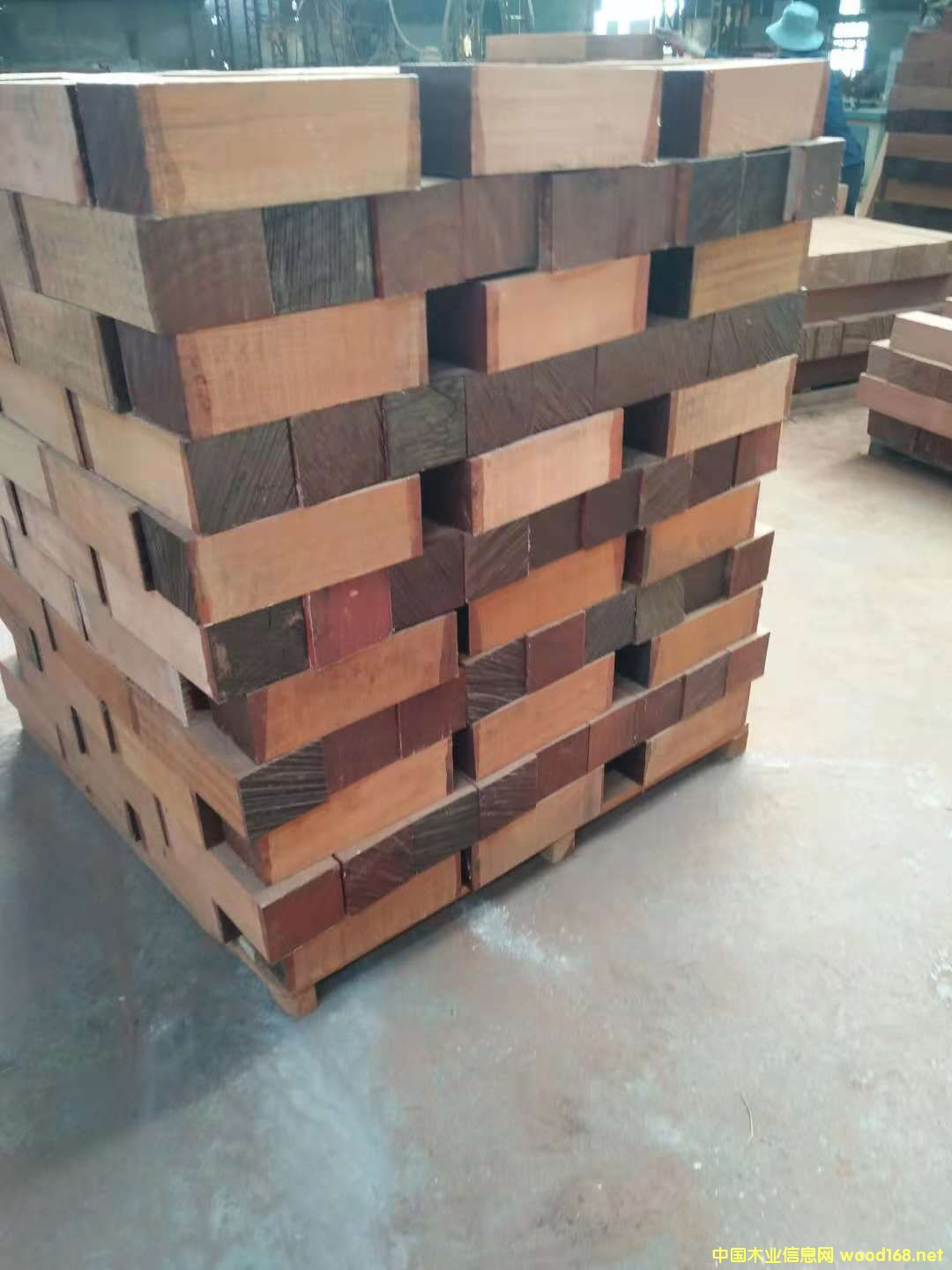 ɳ����������