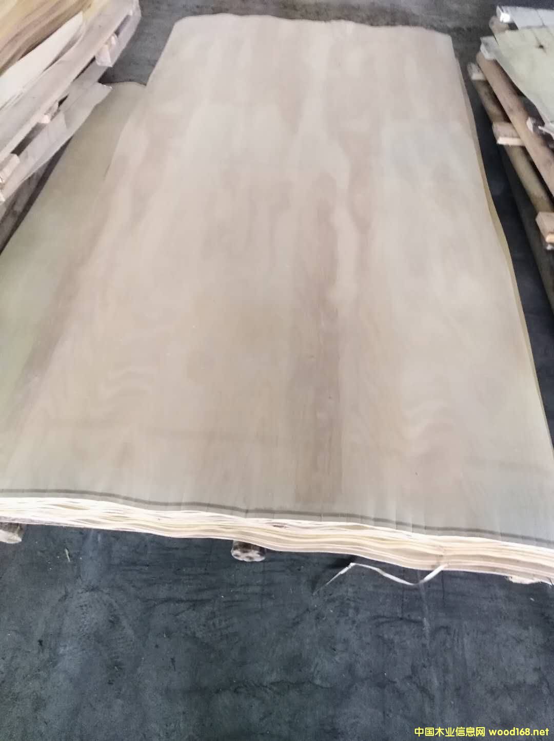 ��ľ�ΰ��Ԕ��(x��)��B