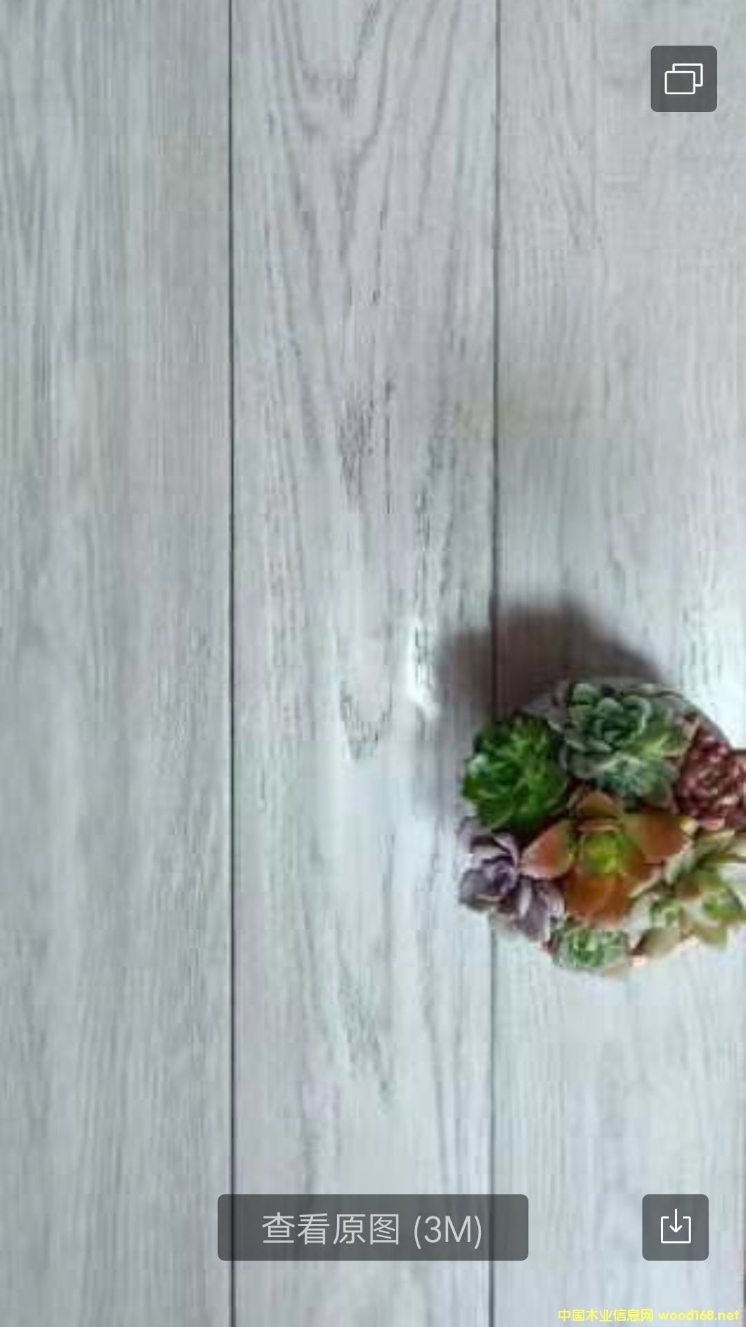 ��(sh��)ľ�ذ�