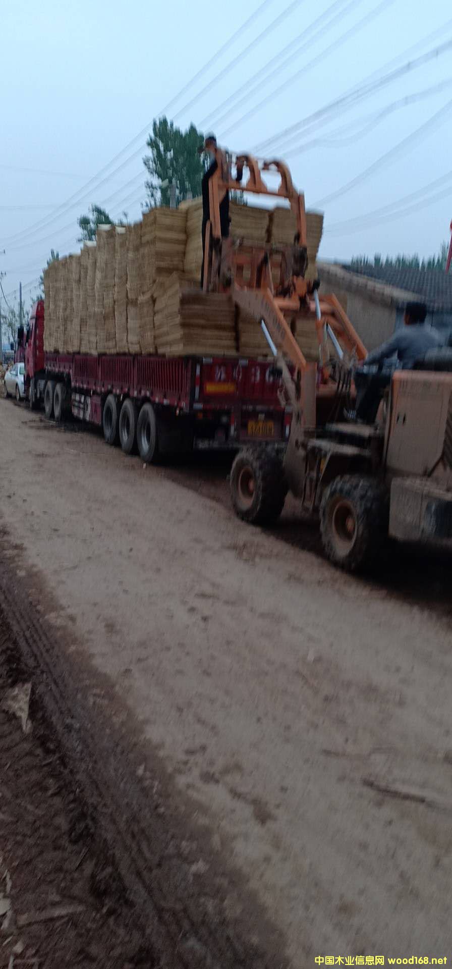 ��ľ��ƴ��Ԕ��(x��)��B