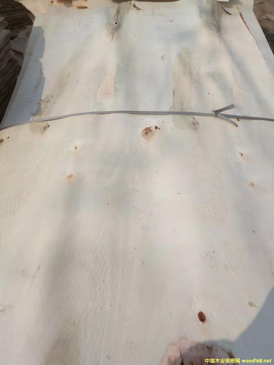 ��ľƤ��Ԕ��(x��)��B