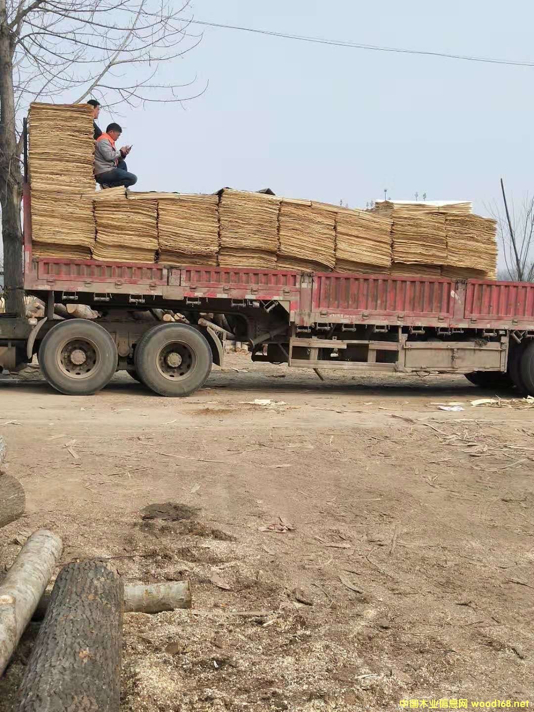 ��ľƤ��Ԕ��(x��)��B