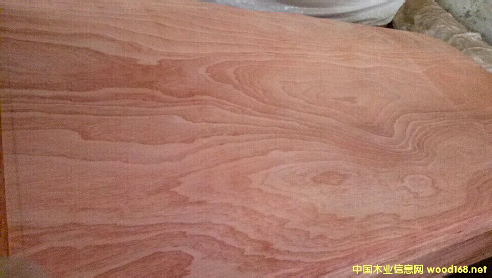 ɳ������Ƥ��Ԕ��(x��)��B