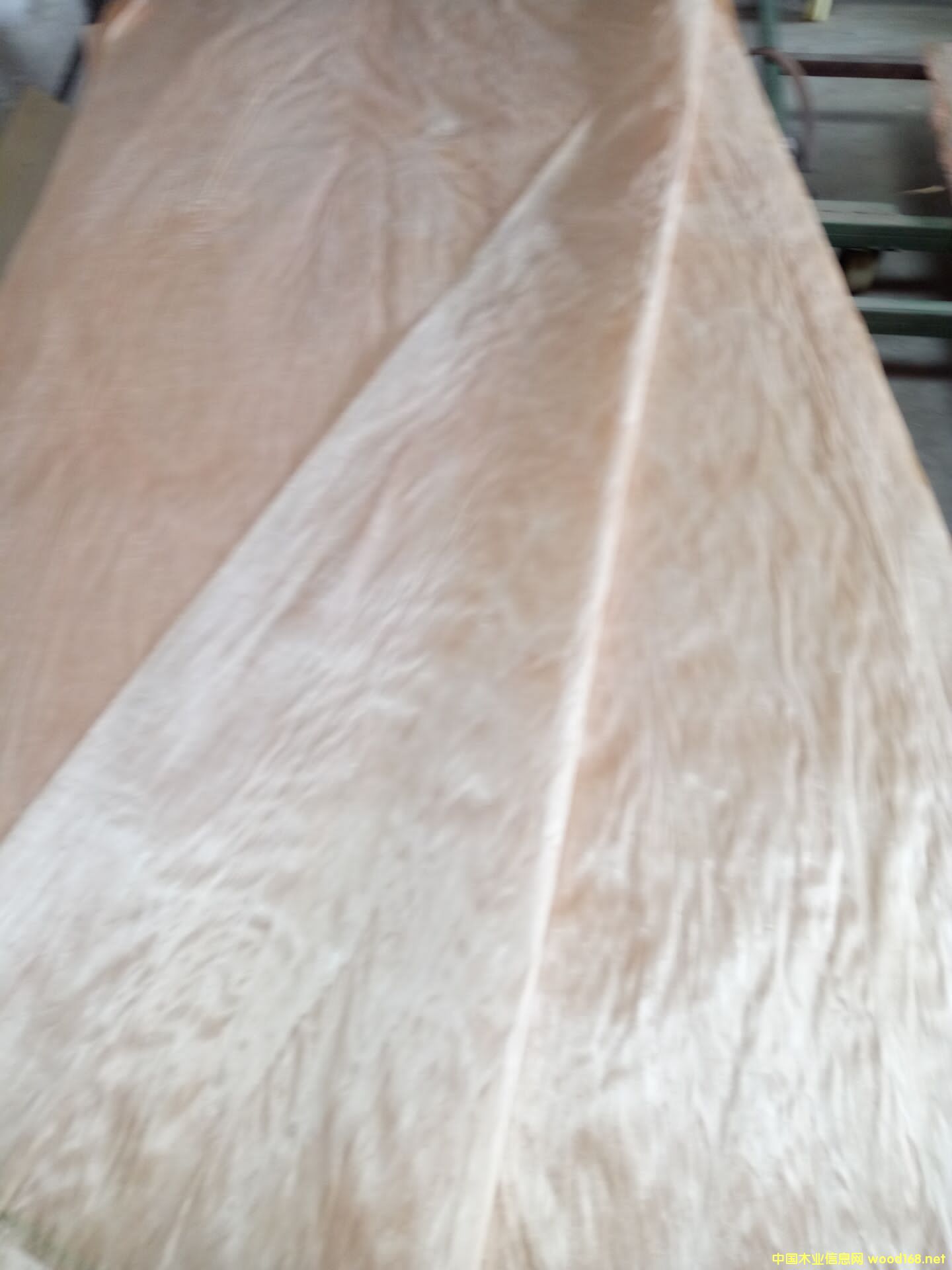 �sľ��Ƥ��Ԕ��(x��)��B