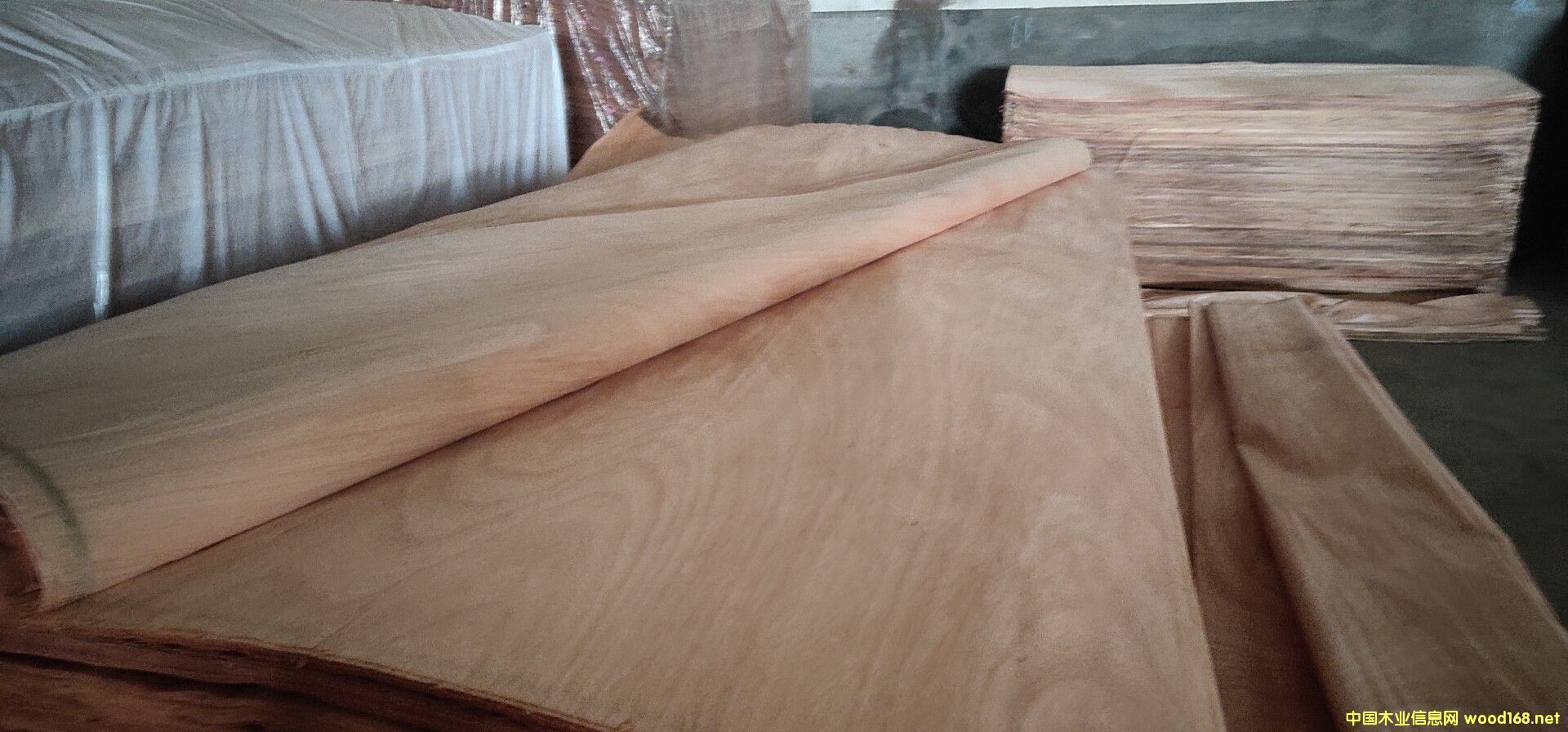 �W�����һ�о