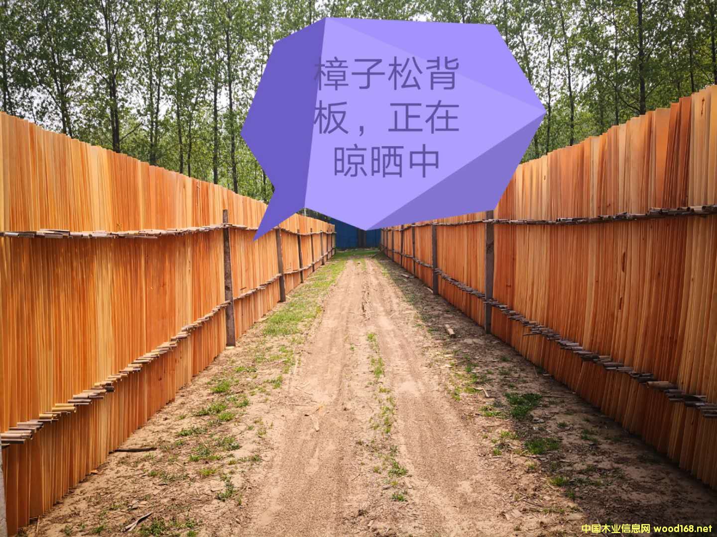  �����Ɇΰ��Ԕ��(x��)��B