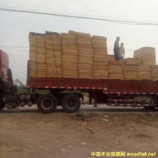 �S�h��ľ��ƴ��Ԕ����B