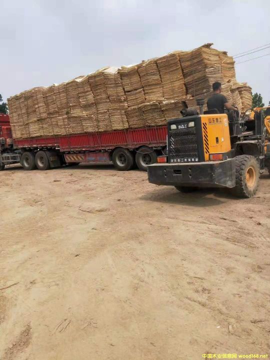 �S�h��ľ��ƴ��Ԕ����B