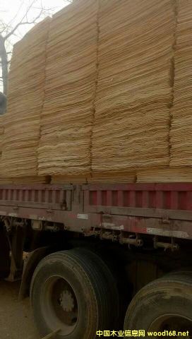 �S�h��ľ��ƴ��Ԕ����B