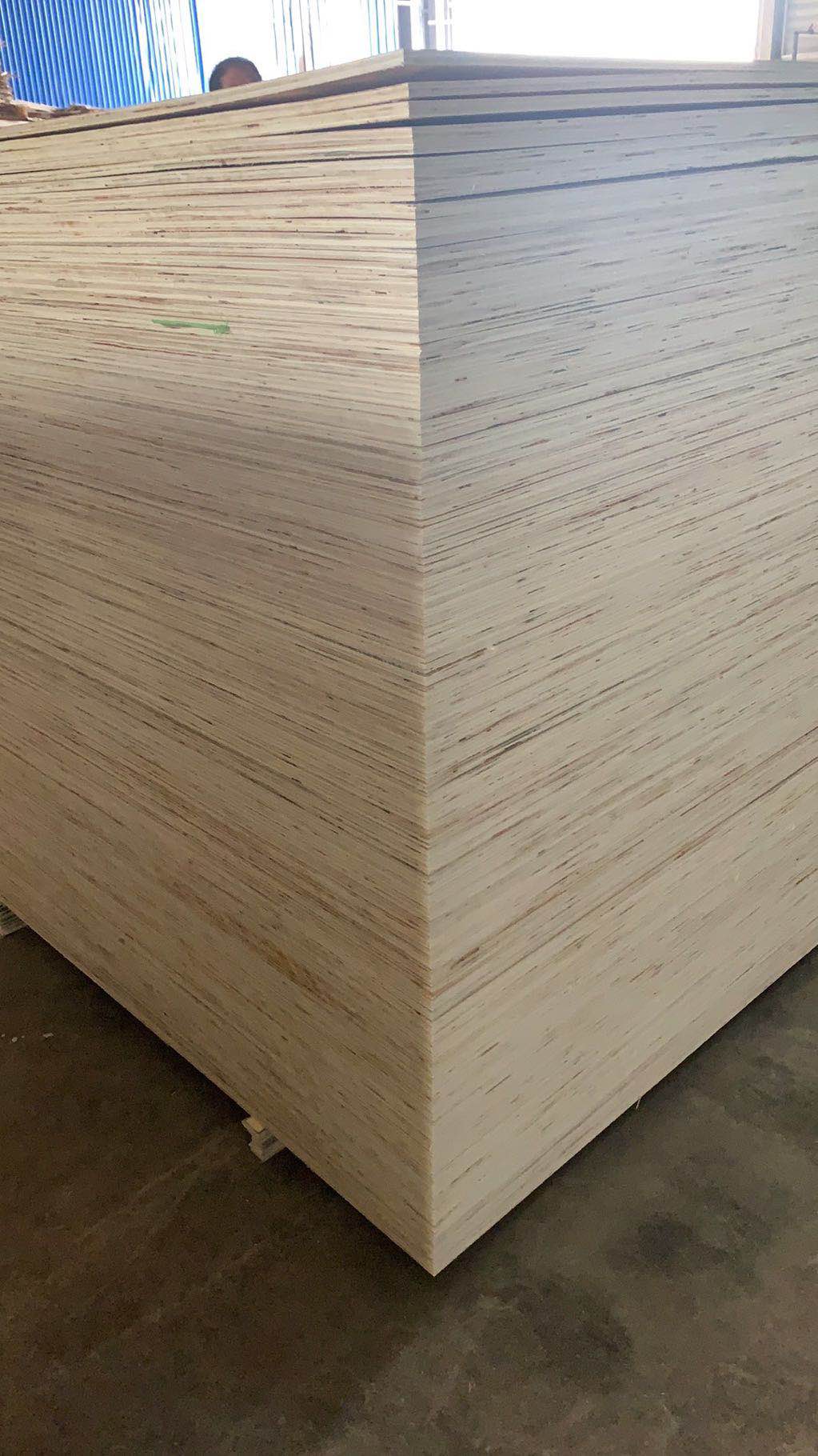 15���z�ϰ��Ԕ��(x��)��B