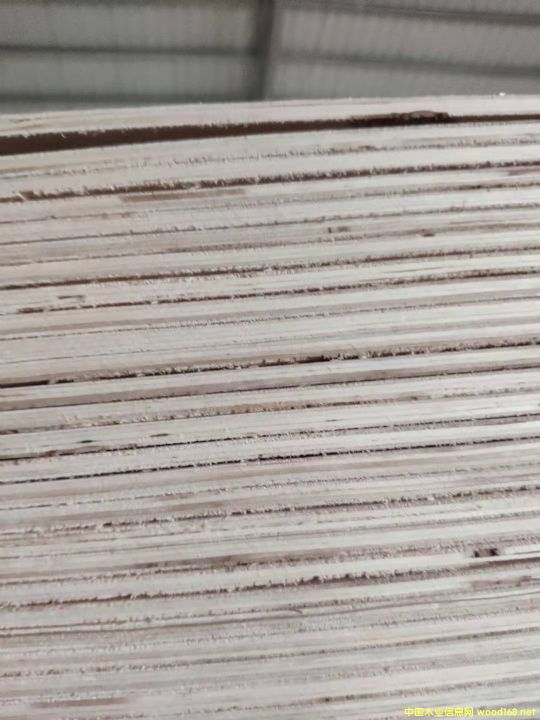  ��Ԕ��(x��)��B