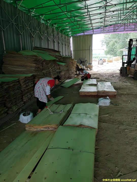 �A��Ƥ��Ԕ����B