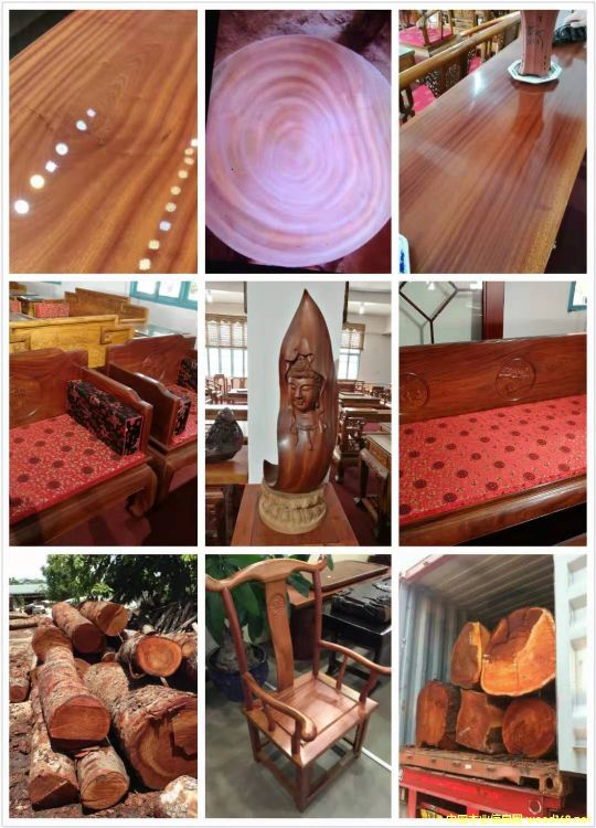 [��] ����(y��ng)�һ�оľ���һ��İ�ģ���mahogany,���~�һ����������һ���