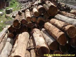 ���~��˼ľԭľ