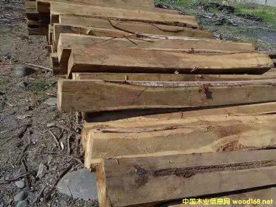 [��] ����(y��ng)�M(j��n)����˼ľԭľ�����~��˼ľ����ACACIA