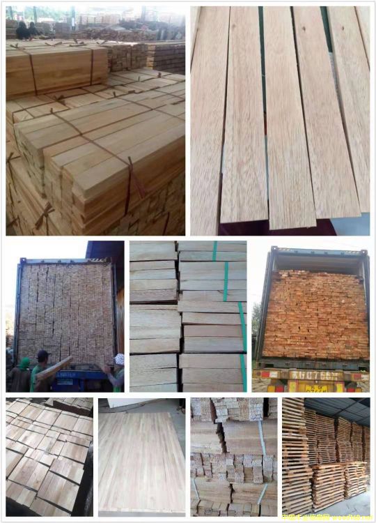 [��] ����(y��ng)�����ľ������R����ľ����albizia falcata