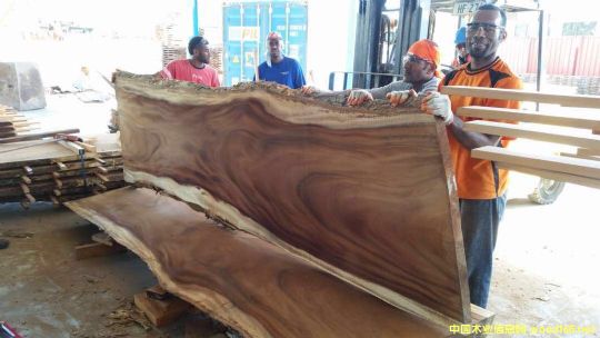 ����Ϛg���1