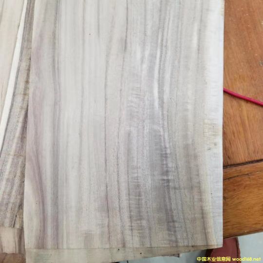 ���ڴ��~������