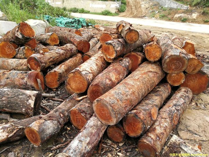 [��] ����(y��ng)�һ�оľ���һ��İ�ģ���mahogany,���~�һ����������һ���