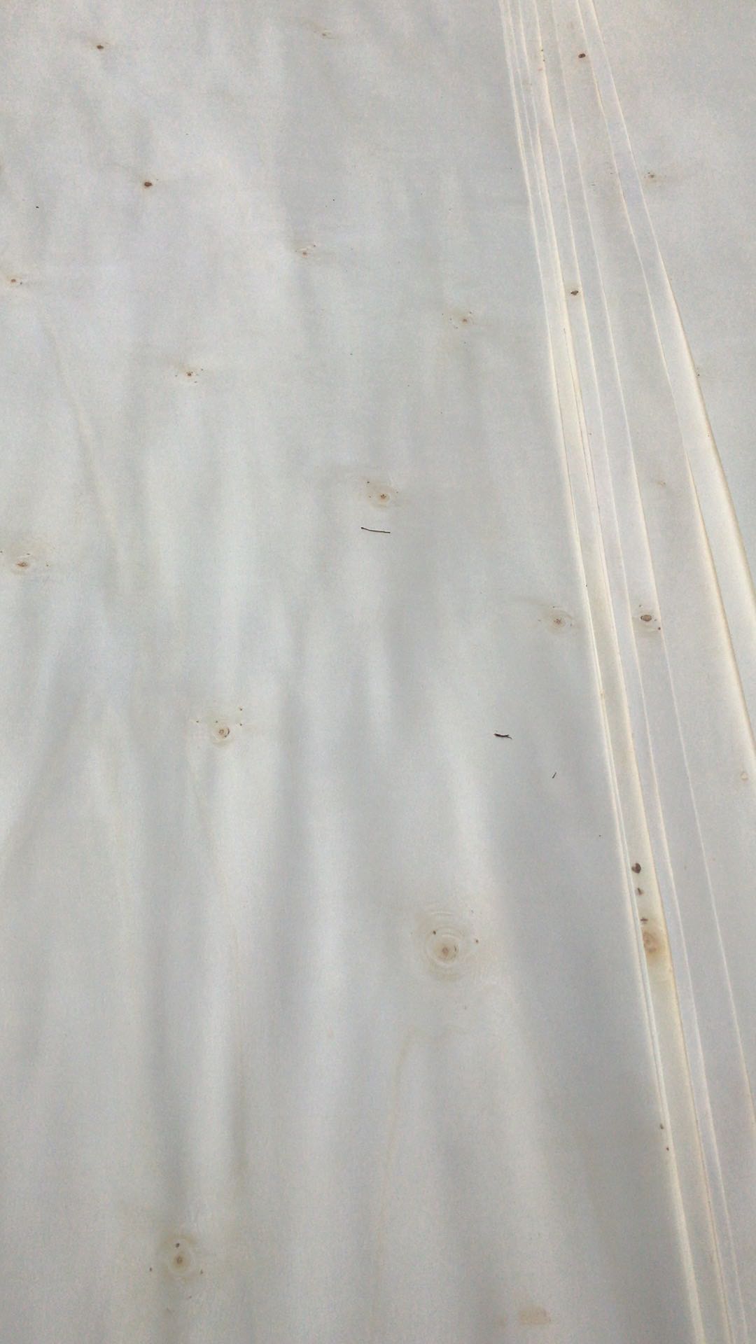  ��Ԕ��(x��)��B