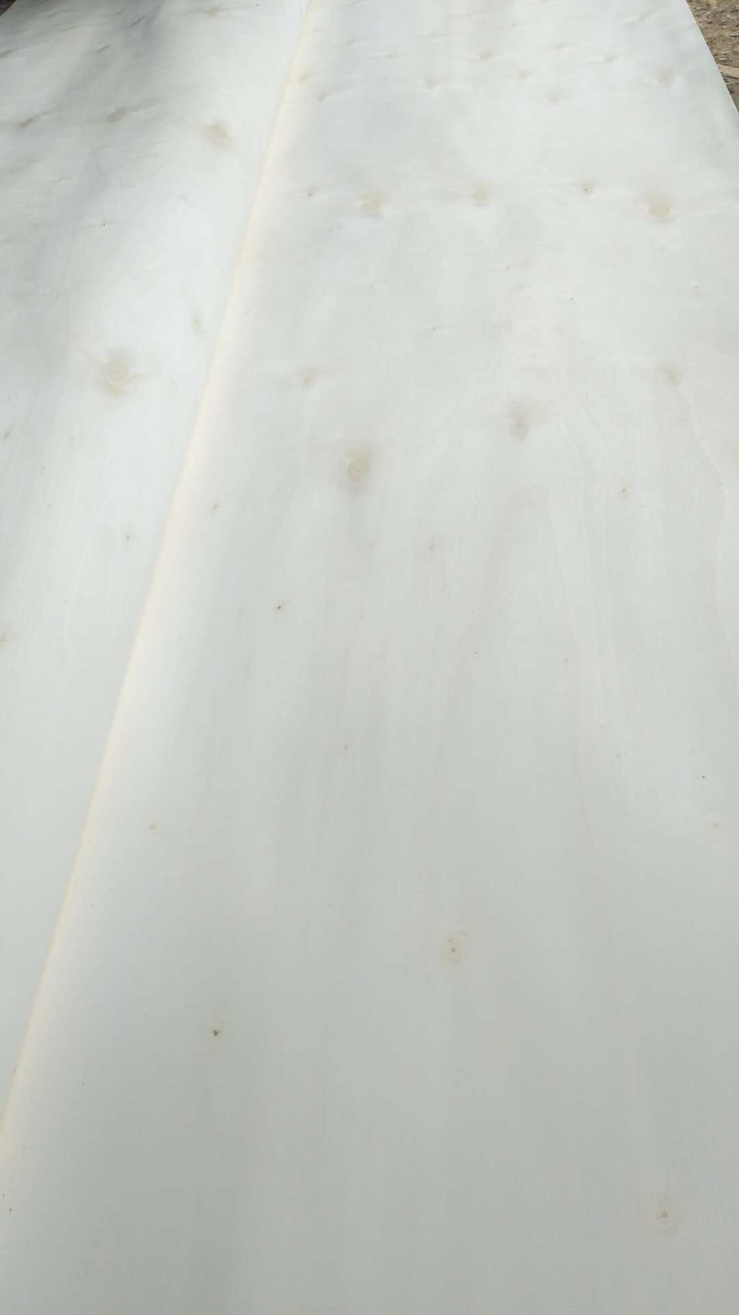  ��Ԕ��(x��)��B