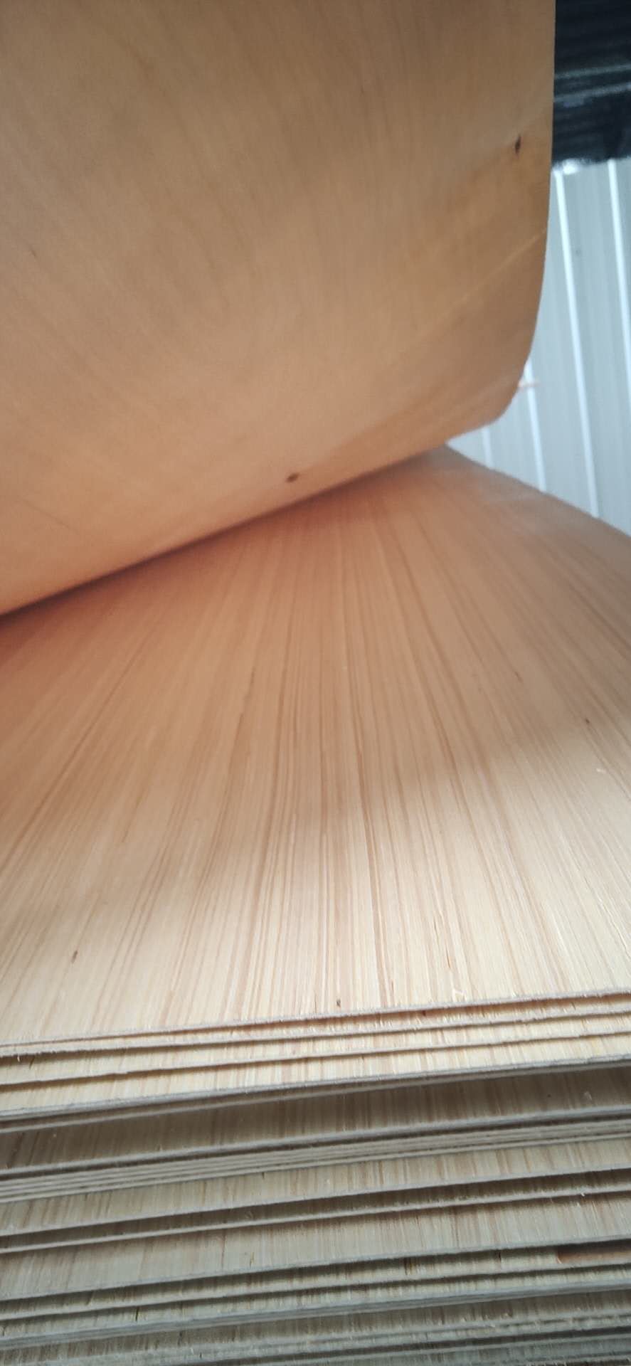  ��Ԕ��(x��)��B