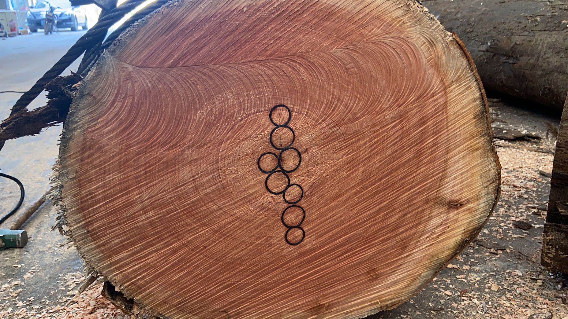 的詳細(xì)介紹