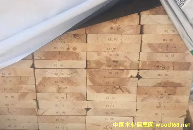 ���ô�SPF����Ј�ǰ�����^