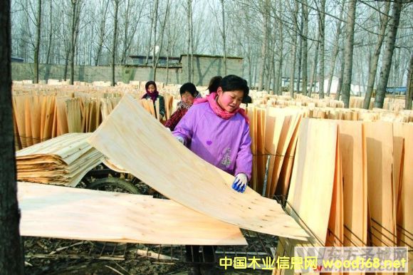 ��ɽ�hС·���(zh��n)����ľ�I(y��)�YԴ��(y��u)�ݴ����l(f��)չ��Ƥ�ӹ��I(y��)