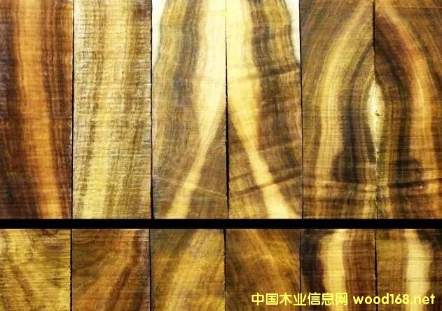 ������֦����ؐ����˼��ԭľ��ľ�ĘӰ廨�y