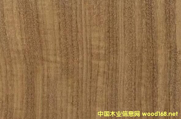 ľ�İٿƣ�����ľ����������ľ��