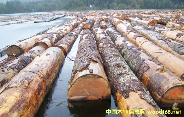 �����Fɼ�ͻ�����ԭľ�r�����m(x��)��λ�\��