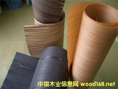 ȫ��Ƽ�ľ�Ј�(ch��ng)���L(zh��ng)���^��2022�ꌢ�_(d��)413�|��Ԫ