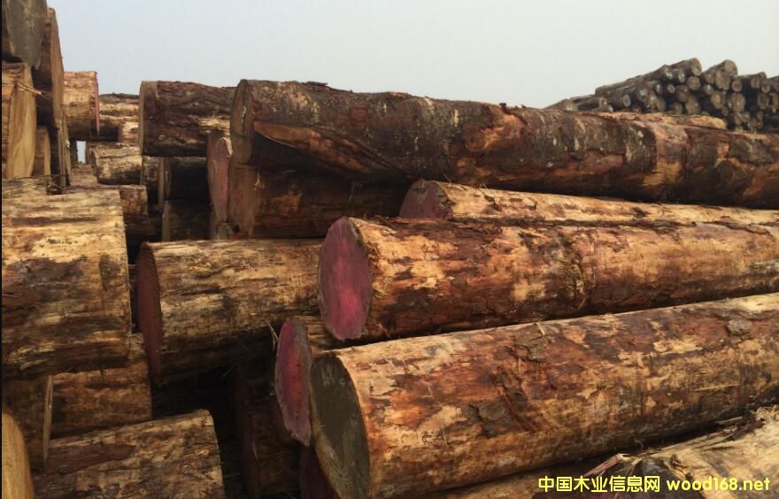 ��(y��u)�|(zh��)�o�{(l��n)׃ݗ���Ɏ��漱�������������_����؛ģʽ