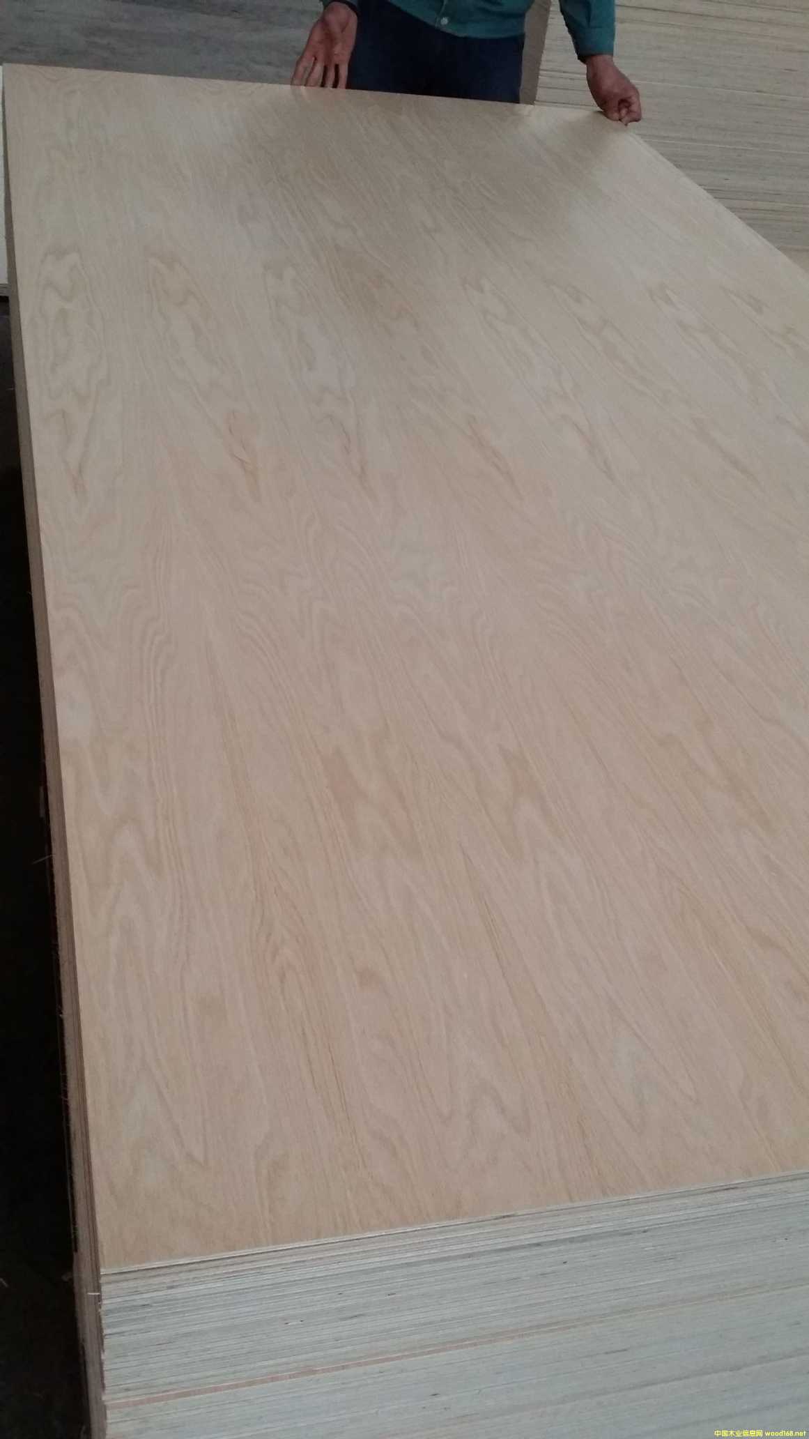 �t���z�ϰ�