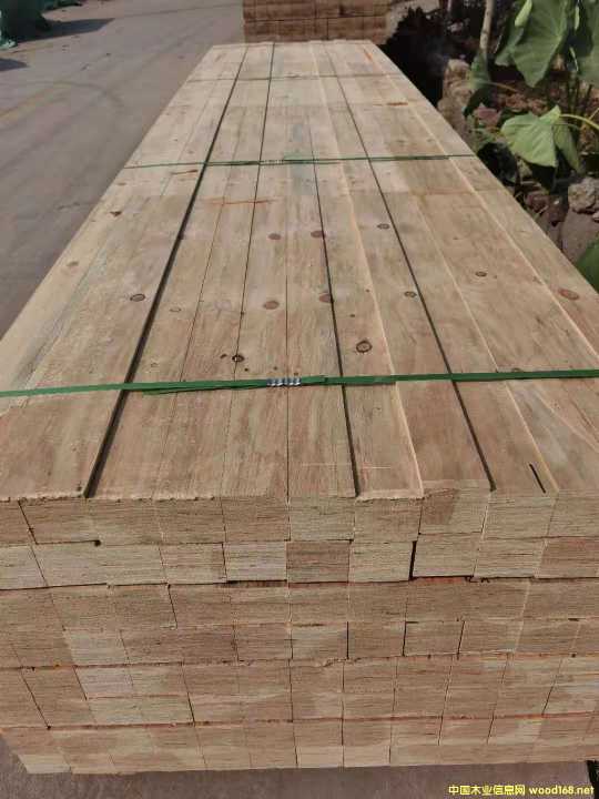 ��Ѭ����ľLVLľ�� ��ľLVL�ӷe��