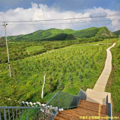 ����ľ����