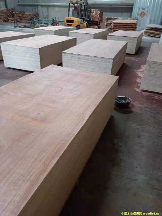  ��Ԕ��(x��)��B