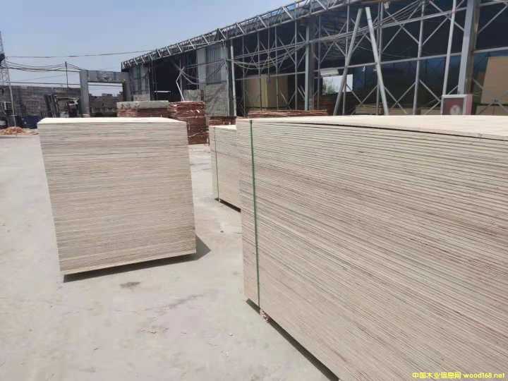 的詳細(xì)介紹