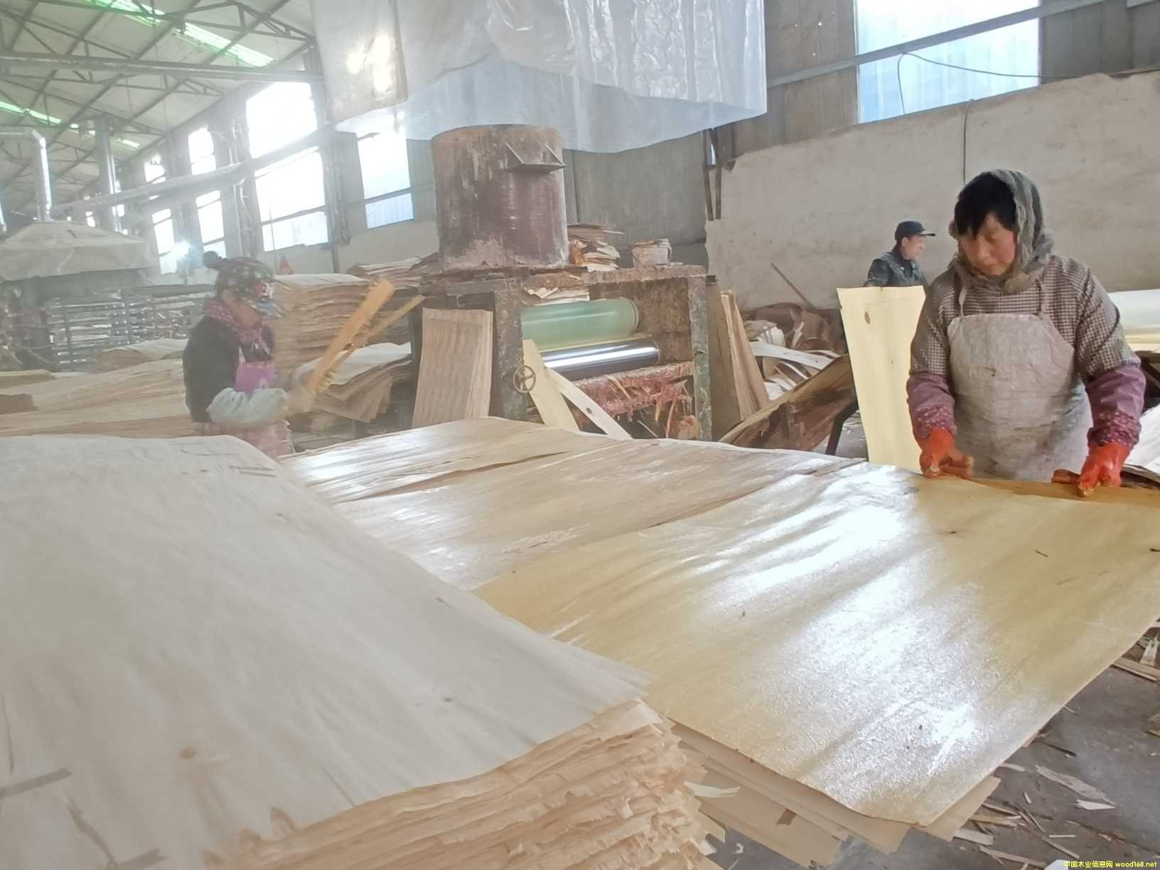  ��Ԕ��(x��)��B