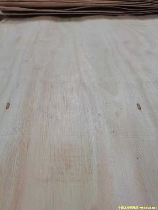  �M(j��n)�����zľ���Іΰ�